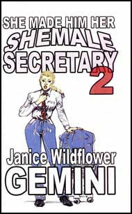 She Made Him Her Shemale Secretary Book 2 by Janice Wildflower Gemini mags, inc, crossdressing stories, transvestite stories, female domination, stories, Janice Wildflower Gemini